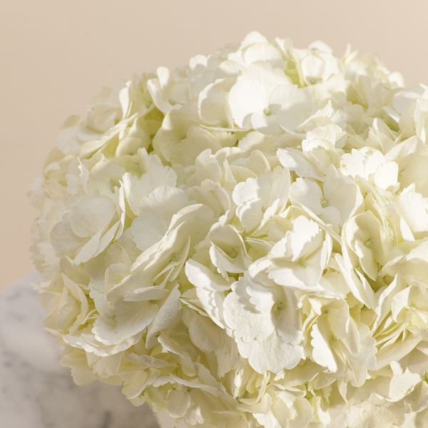 Magical White Hydrangea Vase - Image 5