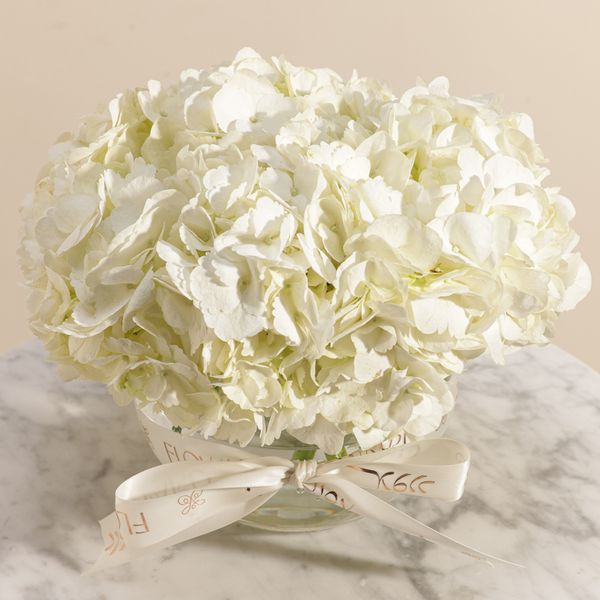 Magical White Hydrangea Vase - Image 2