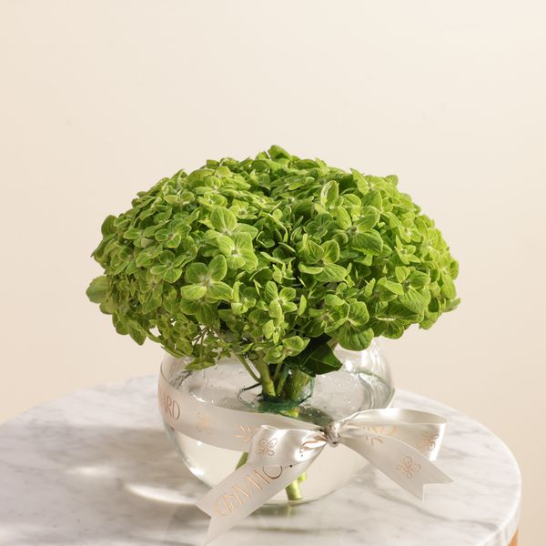 Green Garden Hydrangea Vase - Image 5