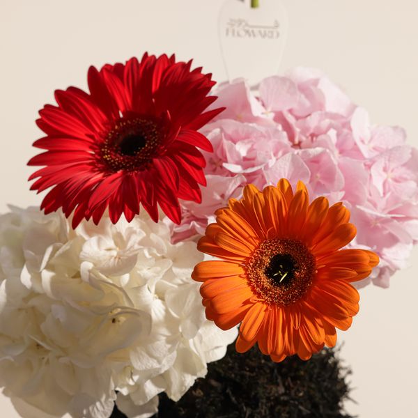 Vibrant Elegance Flowers Vase - Image 3