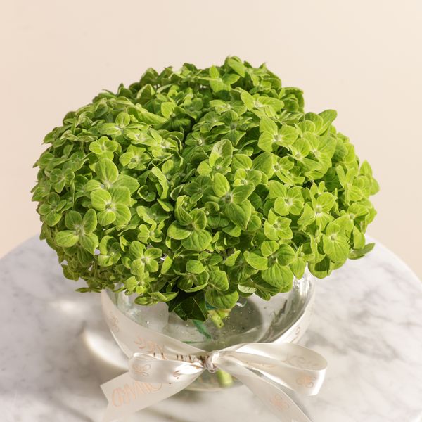Green Garden Hydrangea Vase - Image 2