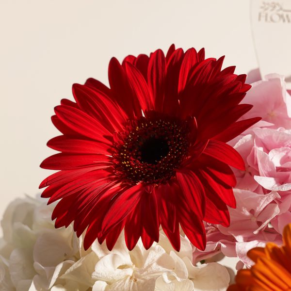 Vibrant Elegance Flowers Vase - Image 2